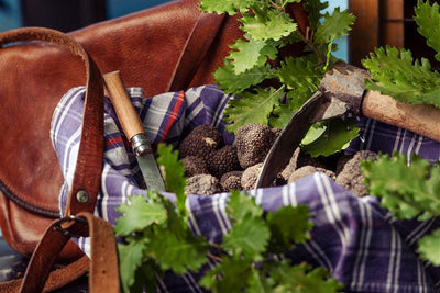 精致甜点：奢华的味觉艺术 